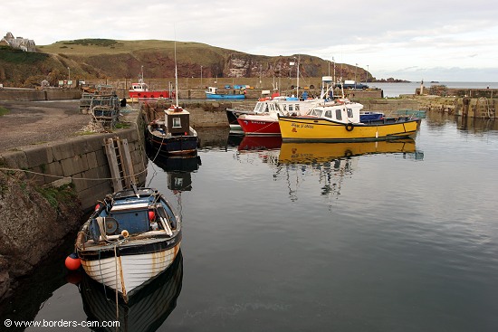 Boats moored in the inner harbour.