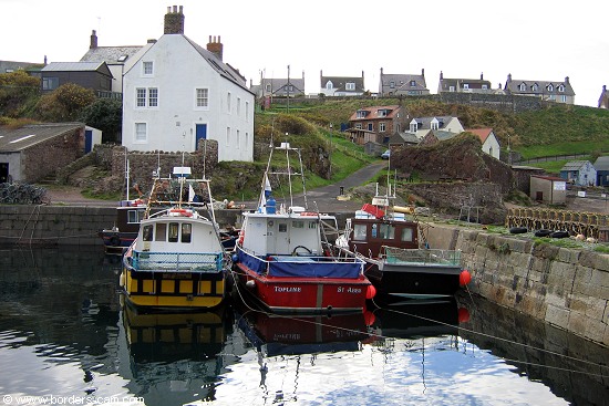 View from the harbour up to the village.